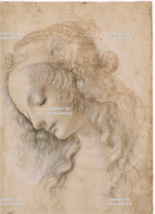 Testa di donna